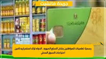 رسميًا تطمينات للمواطنين بشأن السلع الحيوية.. الدولة تؤكد استمرارية تأمين احتياجات السوق المحلي 1